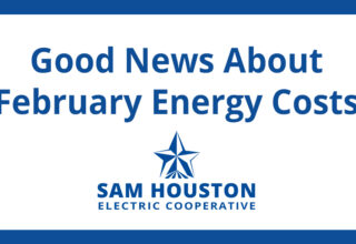Good News about February Energy Costs